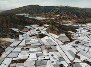 Типично-тепличный вид в Алмерии, фото: www.reddit.com/r/farming