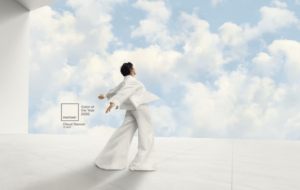 Цвет Cloud Dancer